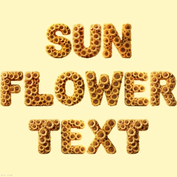 Sunflower Text